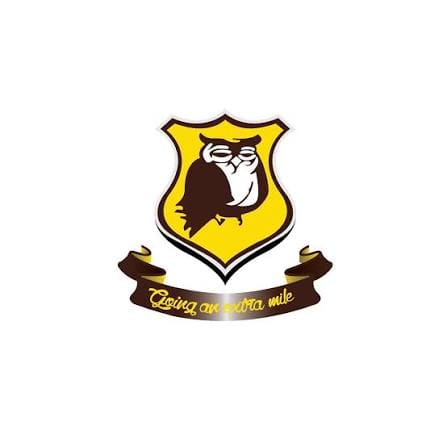 Wise Owl Group
